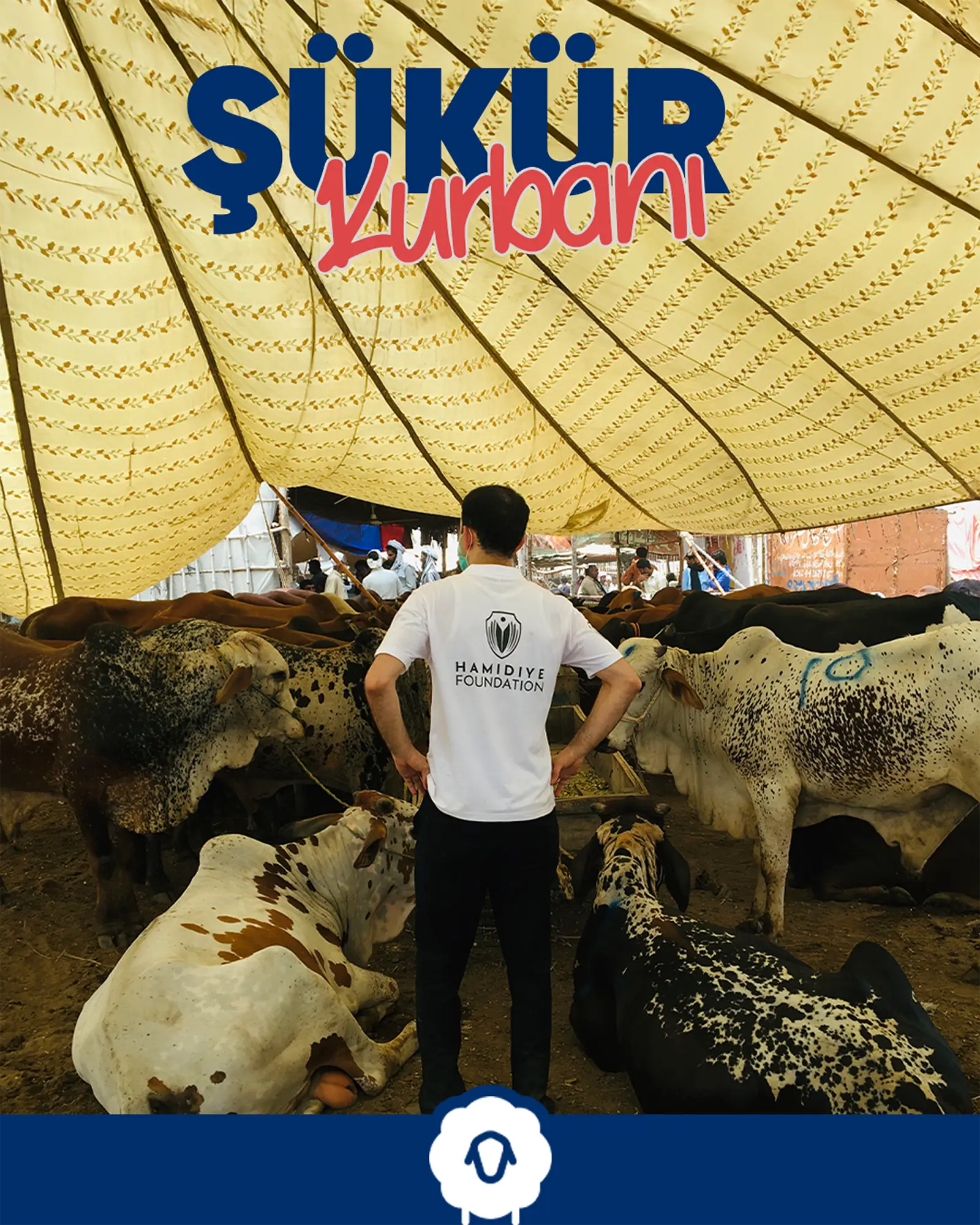 Şükür Kurbanı Nedir?